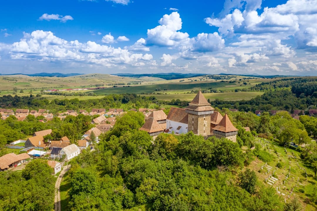 Excursii școlare și pelerinaje cu microbuz din Cluj – siguranță și program adaptat